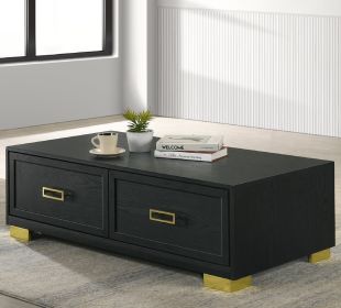 1pc Contemporary Coffee Table Storage Drawers Black Gold Finish Metal Pull Knob Living Room Wooden Modern Furniture