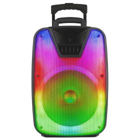 IQ Sound 12" Portable Bluetooth DJ Speaker