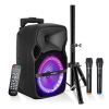 5 Core Party Speaker Portable PA System 2 Wireless Microphone Bluetooth Loud Big Subwoofer Powered Active DJ Karaoke Machine for Studio Indoor Outdoor