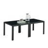 Coffee Table Set of 2, Square Modern Table with Tempered Glass Finish for Living Room,Black