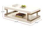 Contemporary Style White 1pc Coffee Table Bottom Shelf High Gloss Lacquer Coating Chrome Frame Accents Living Room Furniture