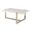 ACME Feit Coffee Table in Faux Marble & Champagne 83105