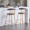 Bar Stool Set of 2, Luxury Velvet High Bar Stool with Metal Legs and Soft Back