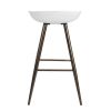 Bak Bar & Counter Stool (Set of 2)