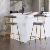 Bar Stool Set of 2, Luxury Velvet High Bar Stool with Metal Legs and Soft Back